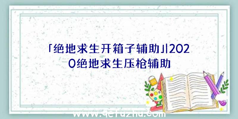 「绝地求生开箱子辅助」|2020绝地求生压枪辅助